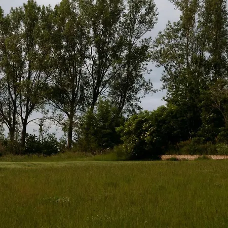 Zar - Gorzelnia W Zarnowcu Zarnowiec