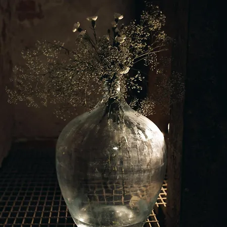 Zar - Gorzelnia W Zarnowcu 乡村民宿