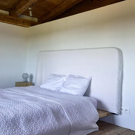 Zar - Gorzelnia W Zarnowcu