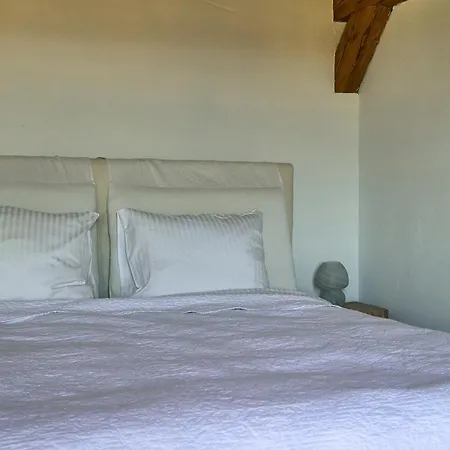 Zar - Gorzelnia W Zarnowcu 乡村民宿 Zarnowiec