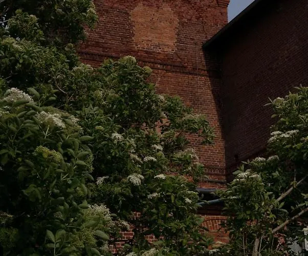 Country house Zar - Gorzelnia W Zarnowcu Zarnowiec