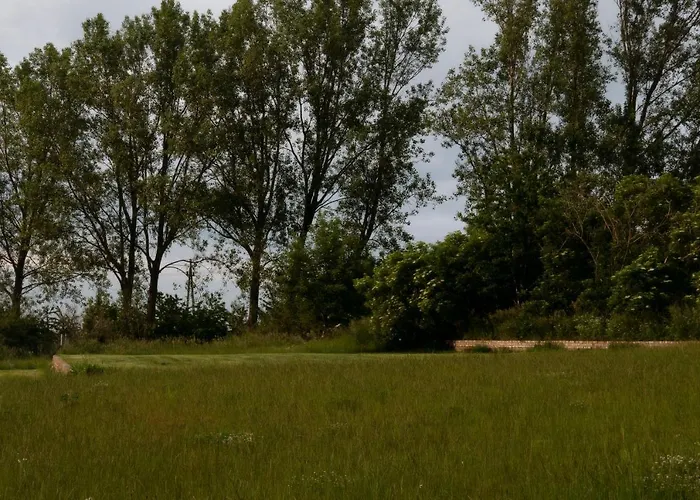 Zar - Gorzelnia W Zarnowcu Zarnowiec