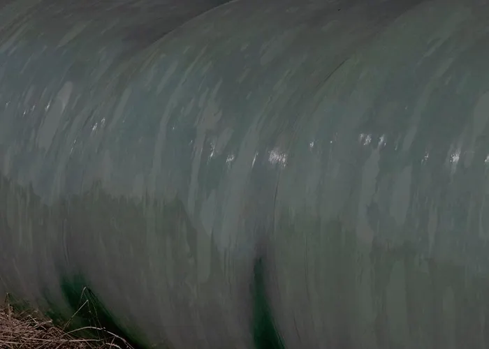 Zar - Gorzelnia W Zarnowcu Zarnowiec