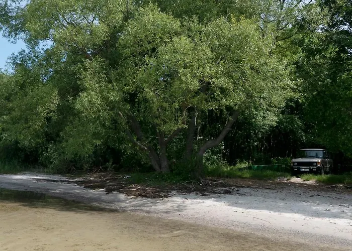 Zar - Gorzelnia W Zarnowcu * Zarnowiec