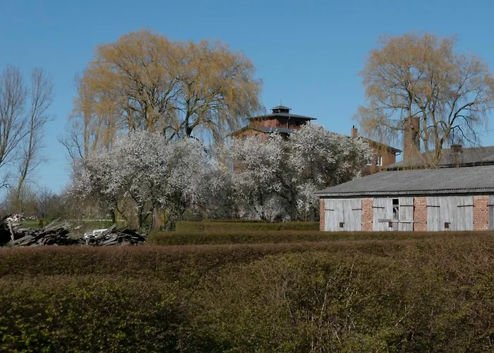 Zar - Gorzelnia W Zarnowcu