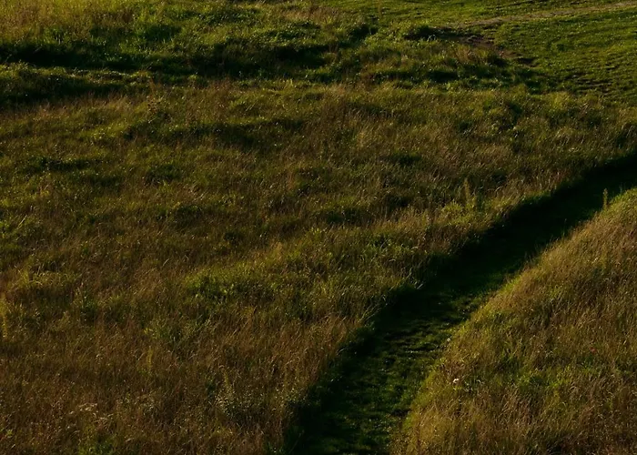 Zar - Gorzelnia W Zarnowcu Zarnowiec