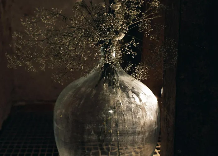 Zar - Gorzelnia W Zarnowcu Country house