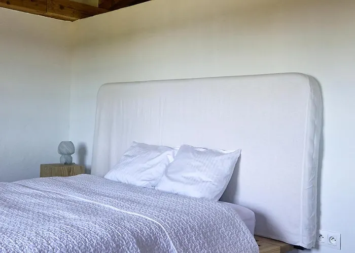 Zar - Gorzelnia W Zarnowcu